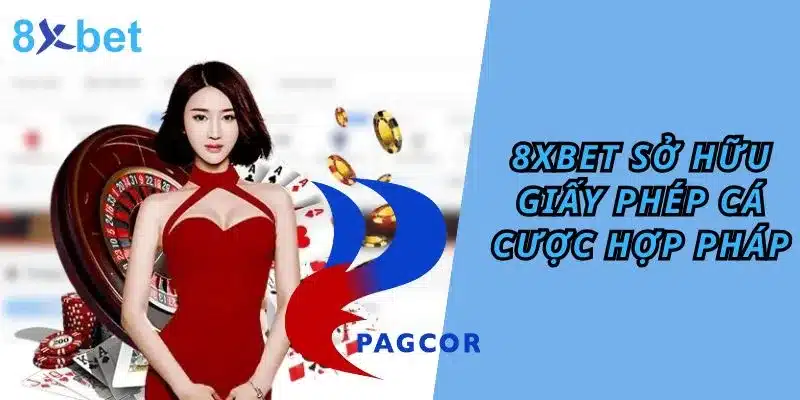 giấy phép hoạt động 8xbet