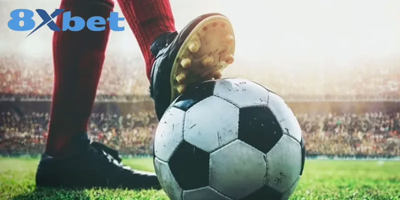 So sánh các loại cược theo một số tiêu chí cơ bản